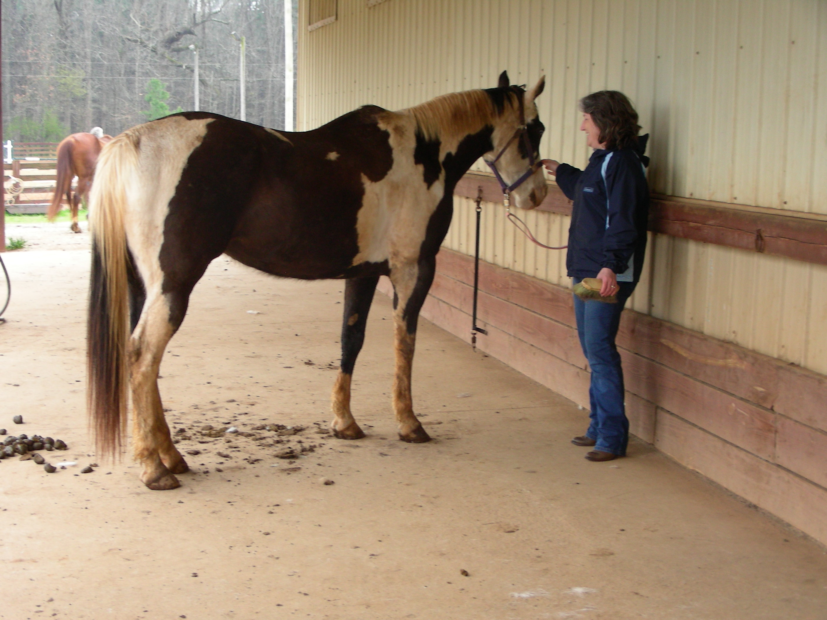 ./2014/Southern Cross/DSCN8998.JPG